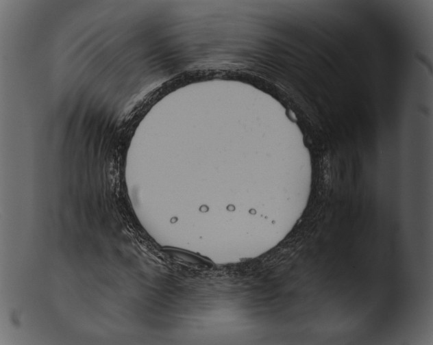 X0000103270872200809261200