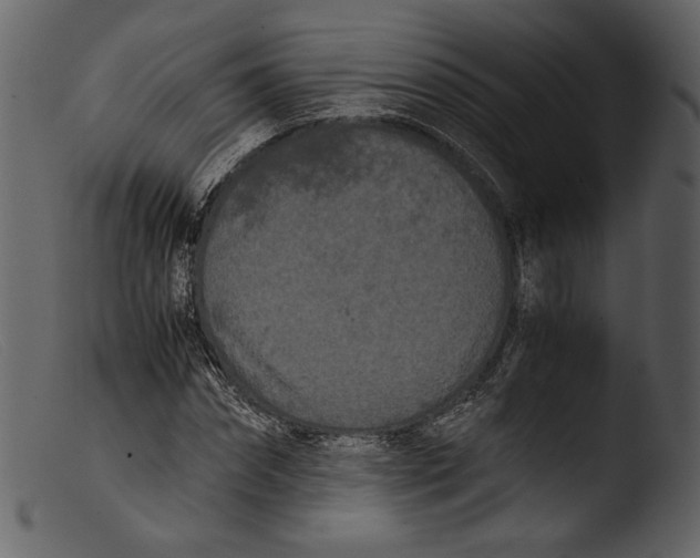X0000103270874200809261200