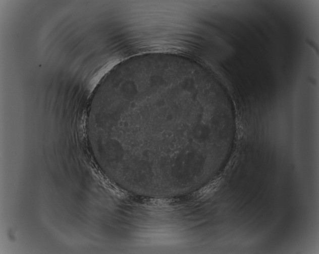 X0000103270875200809261200