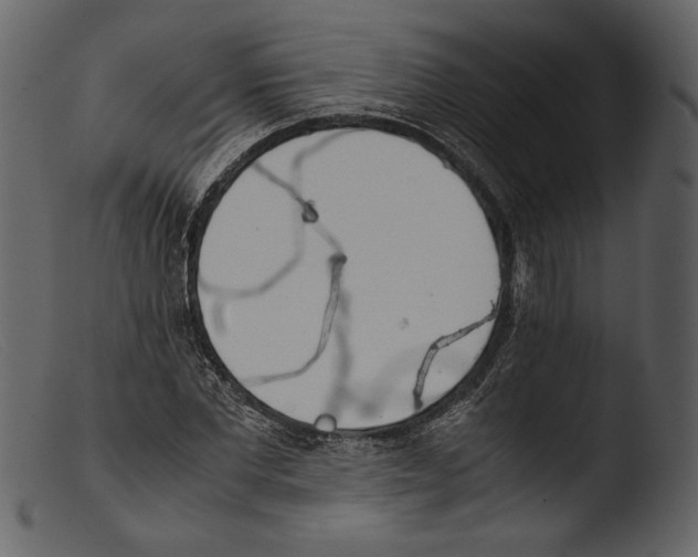 X0000103270877200809261200
