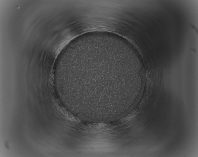 X0000103270879200809261200