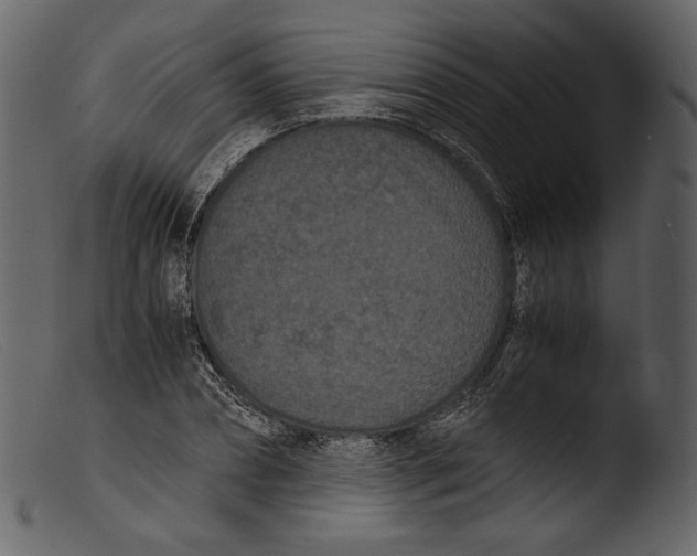 X0000103270882200809261200