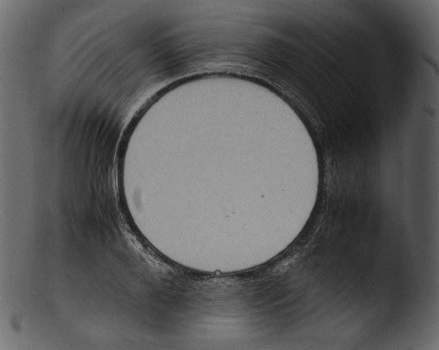 X0000103270888200809261159