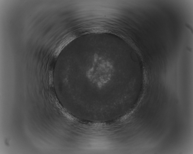 X0000103270889200809261159