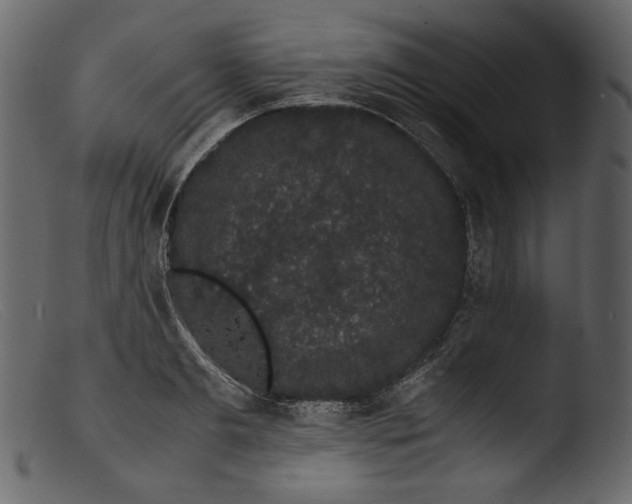 X0000103270893200809261159