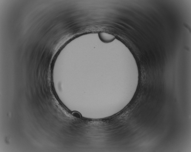 X0000103270894200809261159