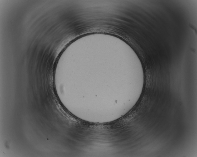 X0000103270896200809261159