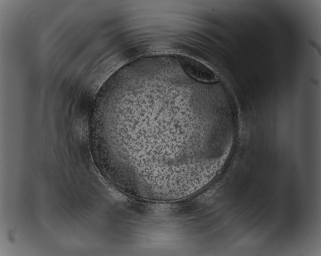 X0000103270897200809261159