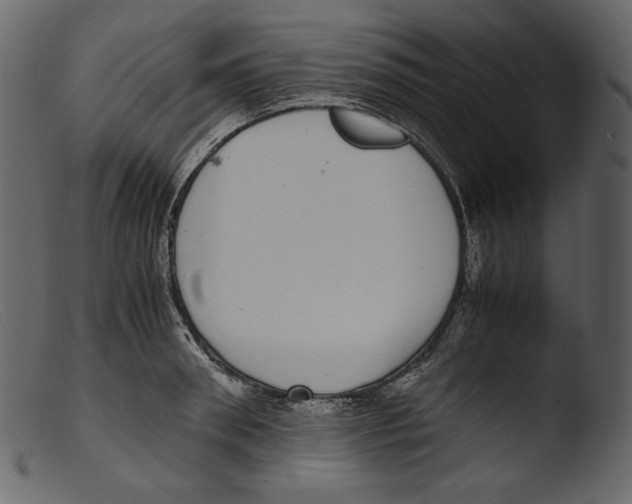 X0000103270898200809261159