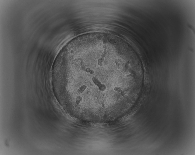 X0000103270899200809261159