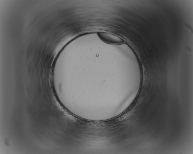 X0000103270901200809261159