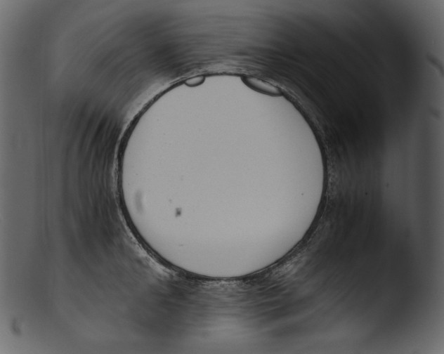 X0000103270902200809261159