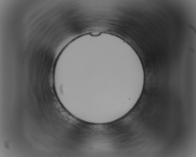 X0000103270904200809261159