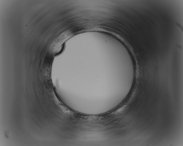 X0000103270905200809261159