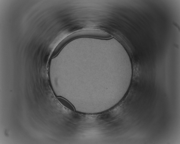 X0000103270908200809261159