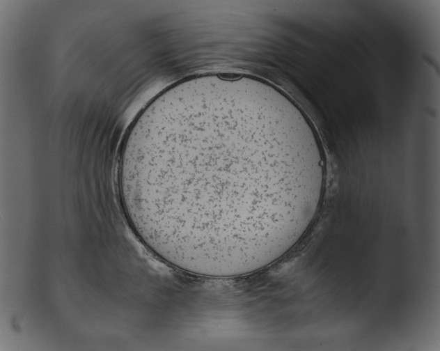 X0000103270909200809261159