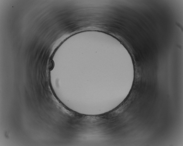 X0000103270910200809261159