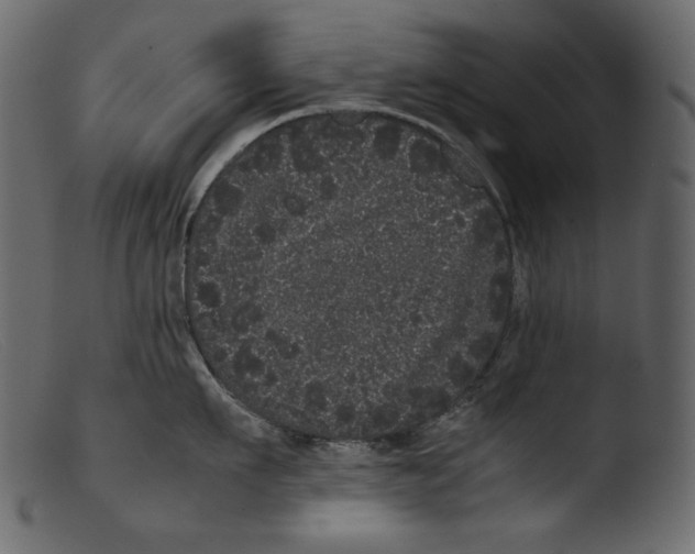 X0000103270911200809261159