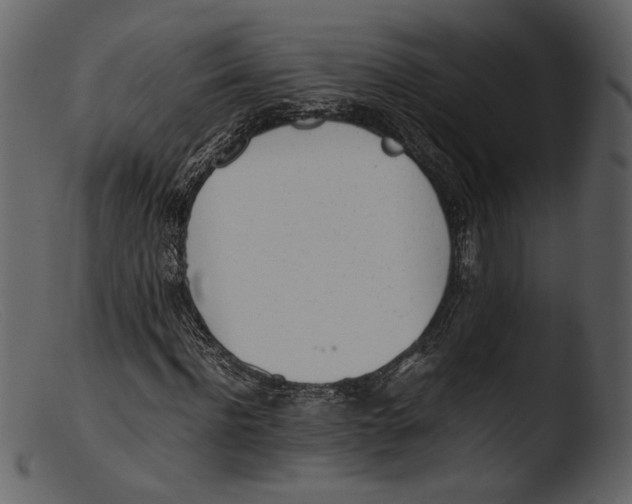 X0000103270916200809261159