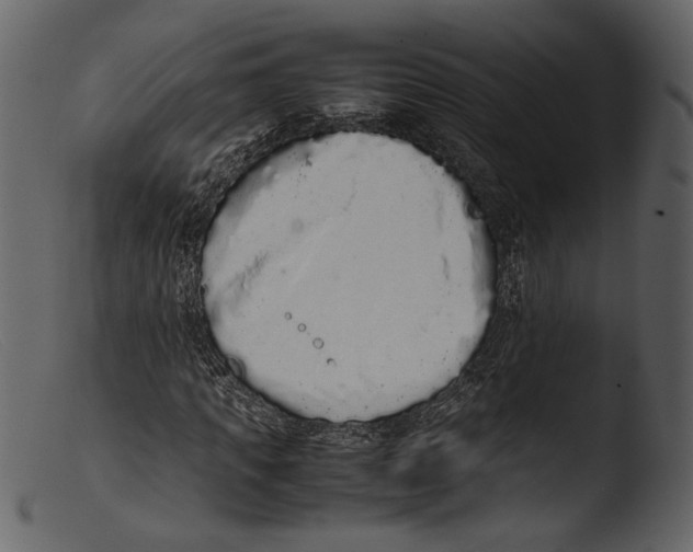 X0000103270917200809261159