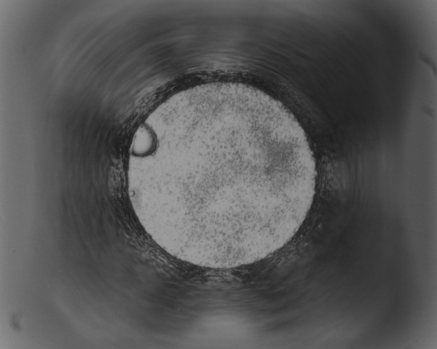 X0000103270918200809261159