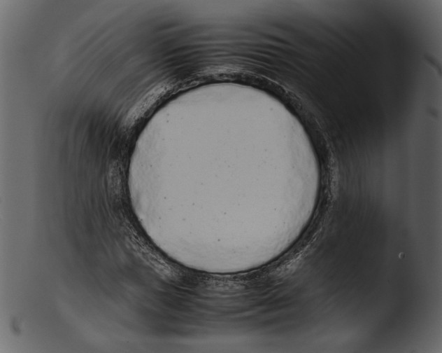 X0000103270921200809261159