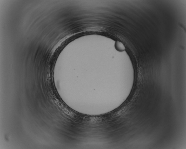X0000103270923200809261159