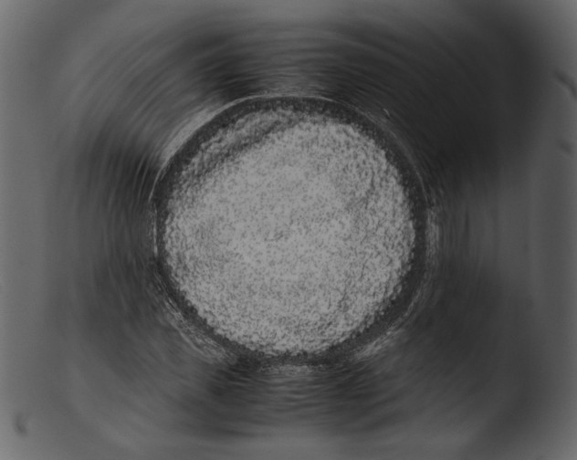 X0000103270925200809261159