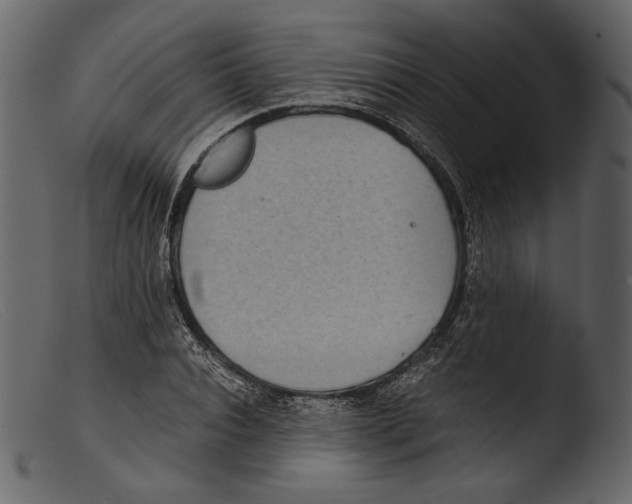 X0000103270928200809261159