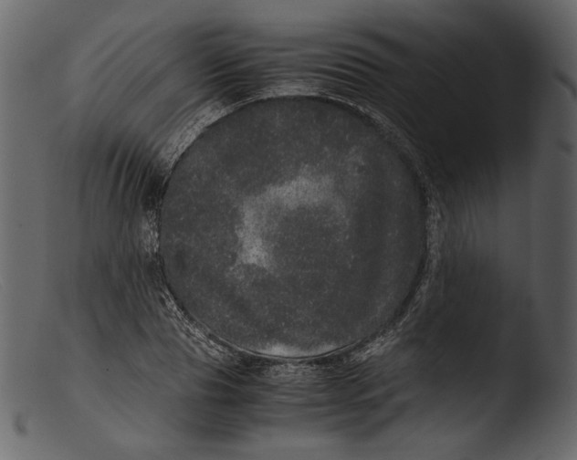 X0000103270929200809261159