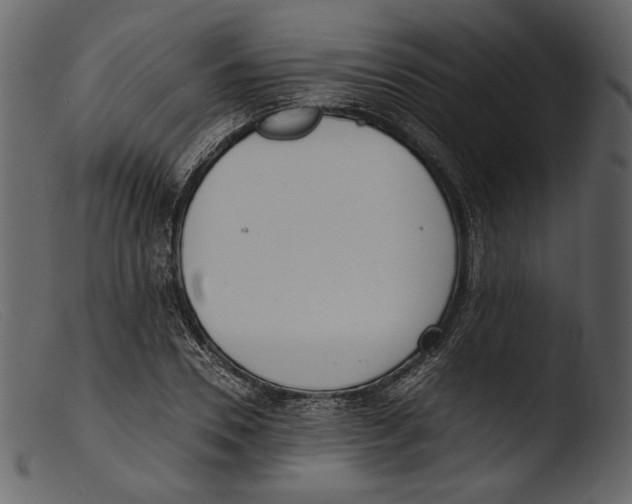 X0000103270930200809261159