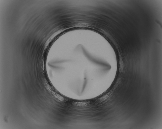 X0000103270931200809261159