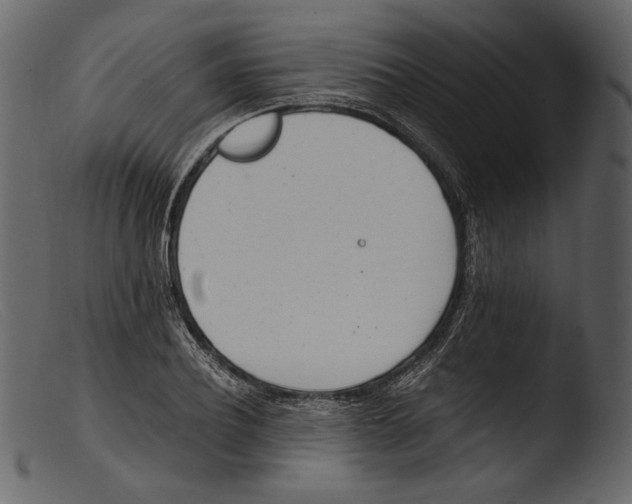 X0000103270932200809261159
