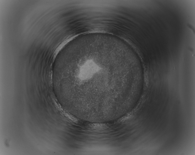 X0000103270933200809261159