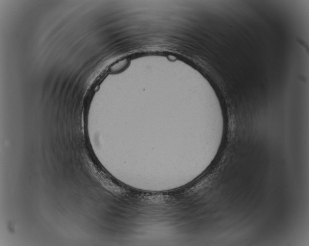 X0000103270934200809261159