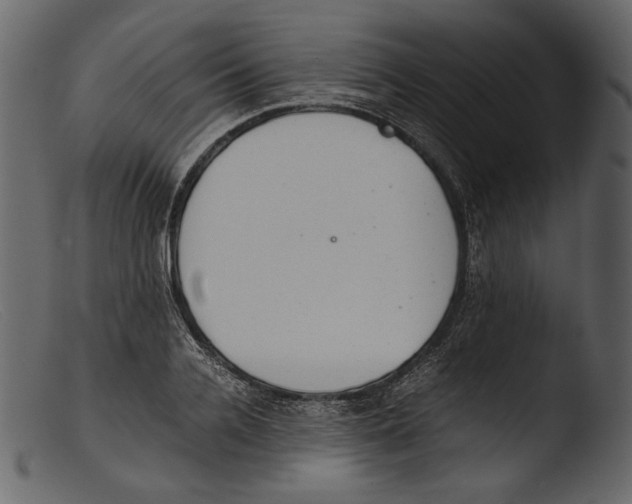 X0000103270936200809261159