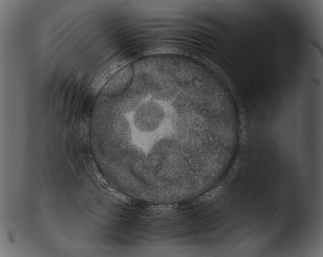 X0000103270937200809261159