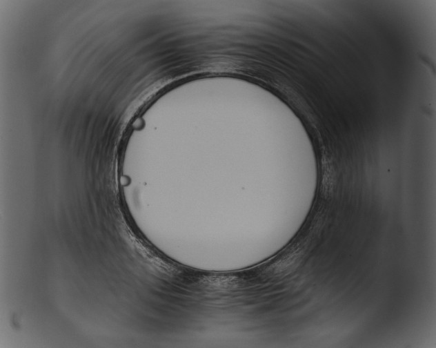 X0000103270939200809261159