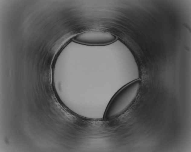 X0000103270940200809261159