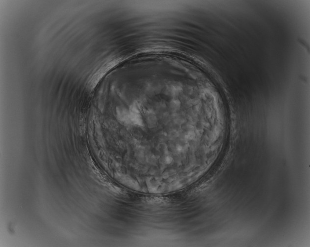 X0000103270945200809261159
