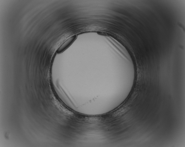 X0000103270946200809261159