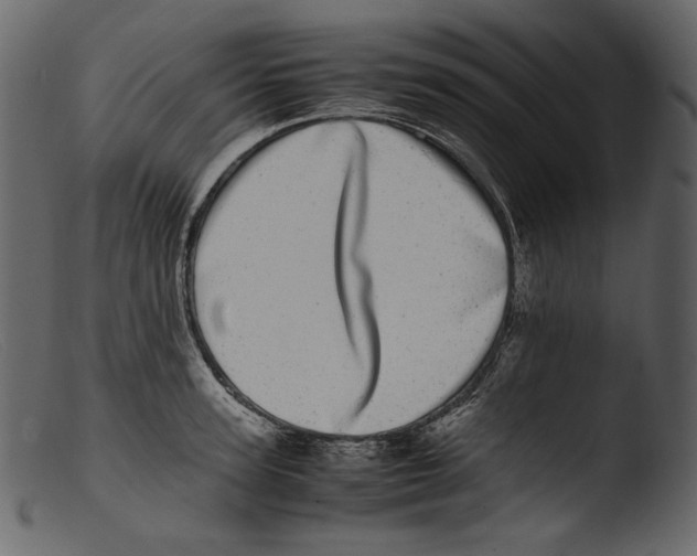 X0000103270947200809261159
