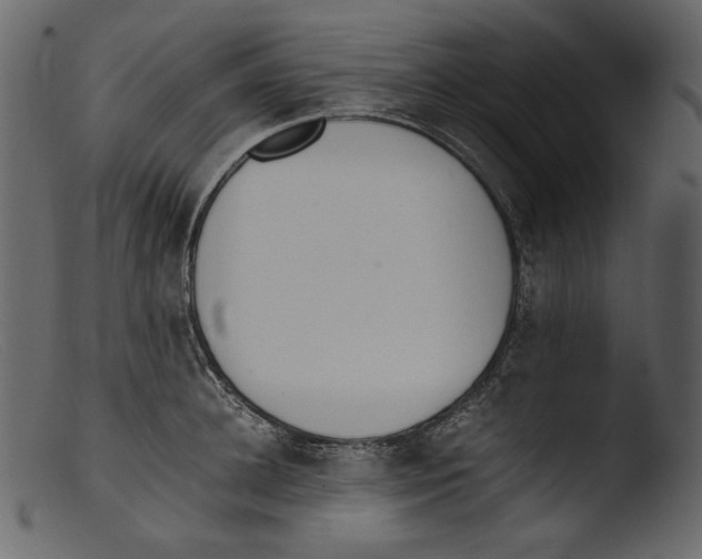 X0000103270948200809261159