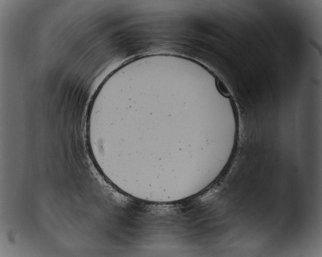 X0000103270949200809261159