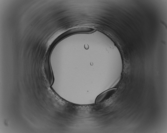X0000103270952200809261159