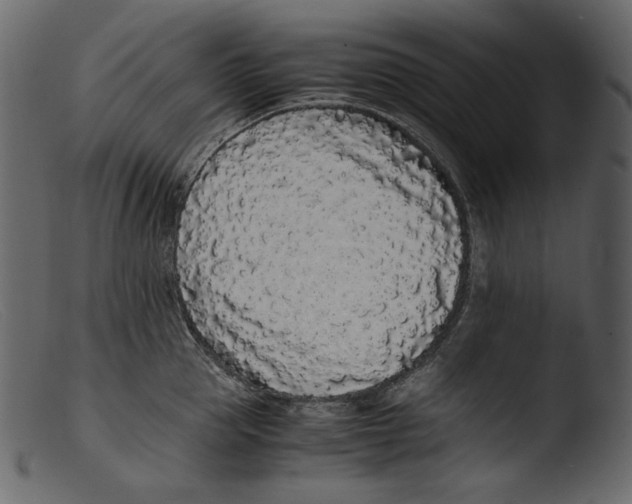 X0000103270953200809261159