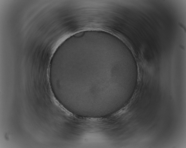 X0000103270958200809261159