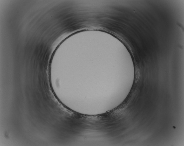 X0000103270959200809261159