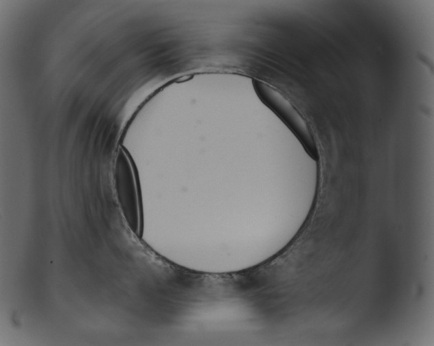 X0000103270960200809261159