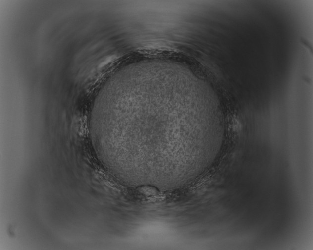 X0000103270965200809261158